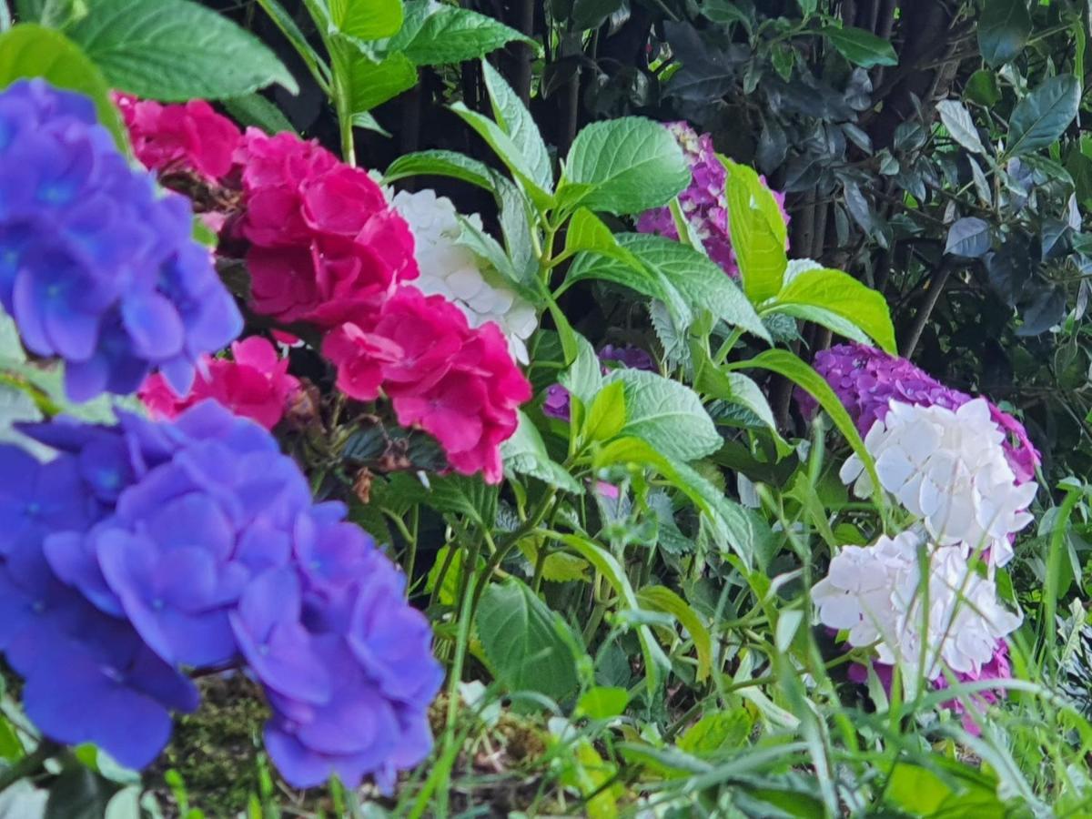 Le Clos Reaud 블라이 외부 사진